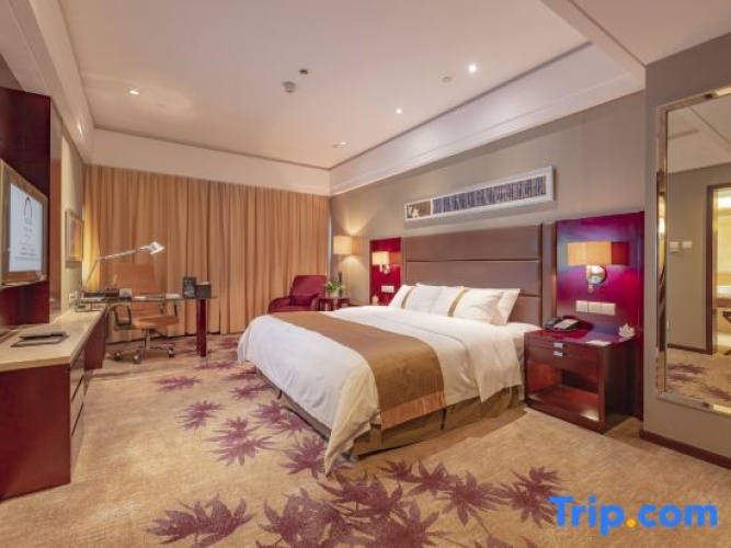 Executive Double room with river view