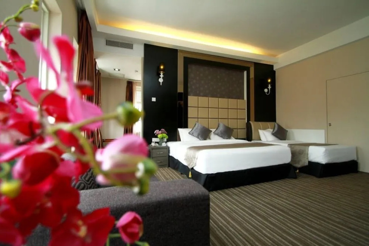Ajit Guest House & Hotel