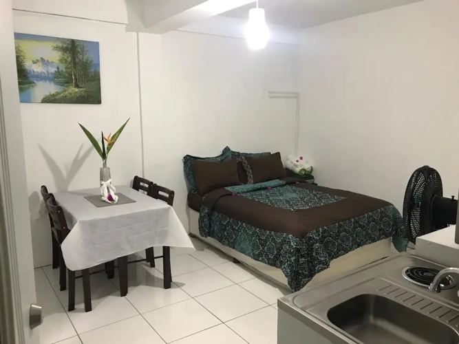 Double Apartment