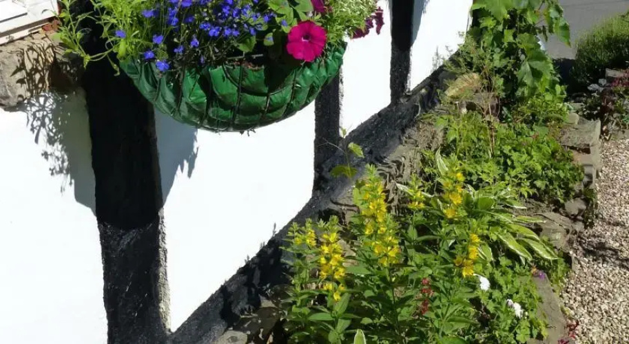 Vine Cottage Bed and Breakfast