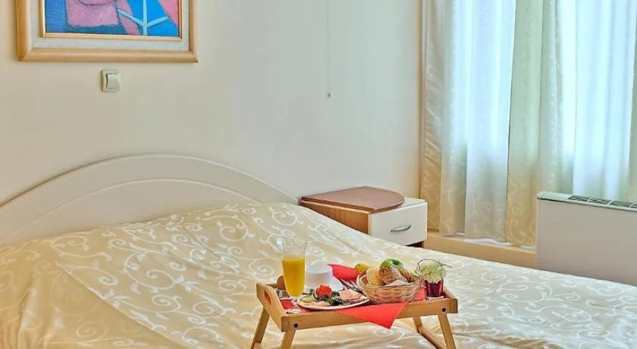Hotel Niski Cvet