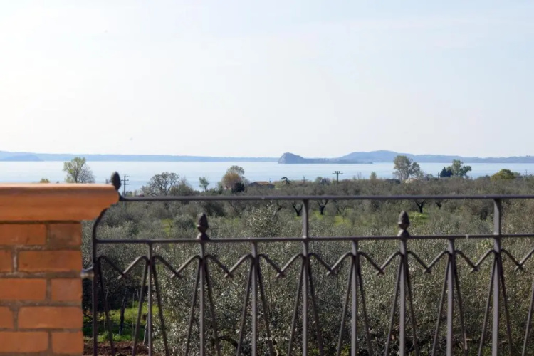 Il Casale degli Ulivi