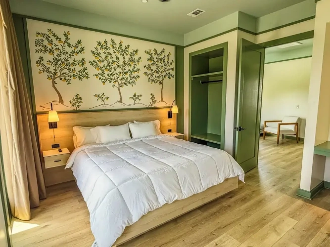 1 Bedroom Standard Penthouse room