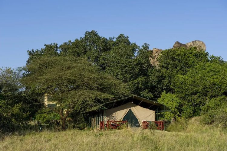 Maisha Serengeti Camps