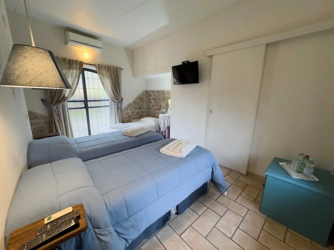 Classic Triple room with park view