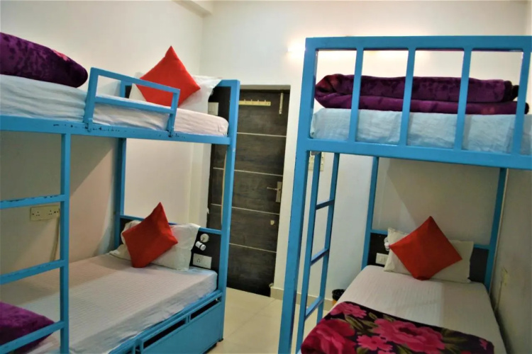 Bedweiser Backpackers Hostel
