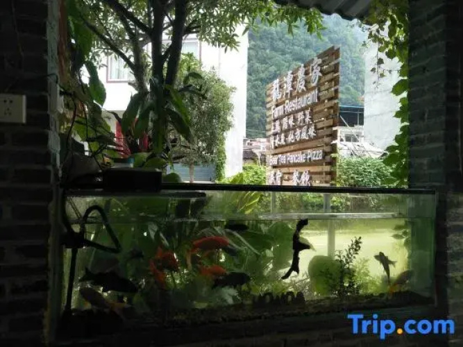 Tea  House