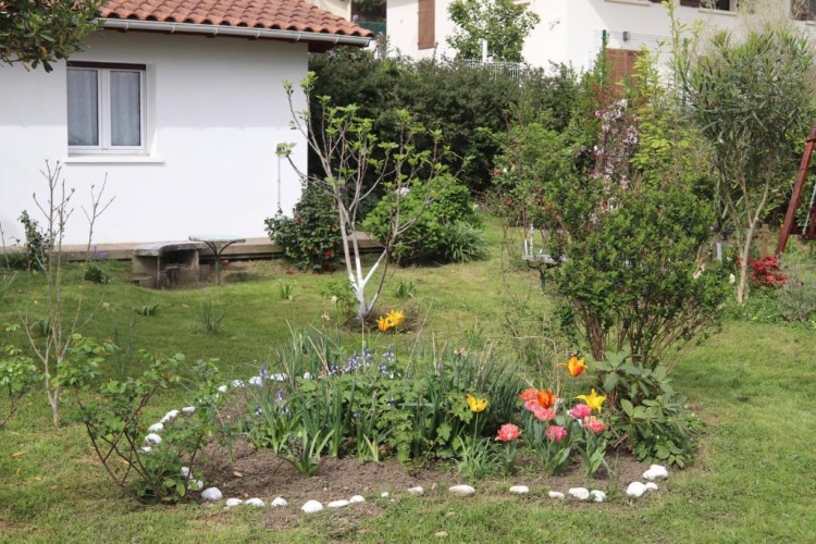 Standard Double room with garden view