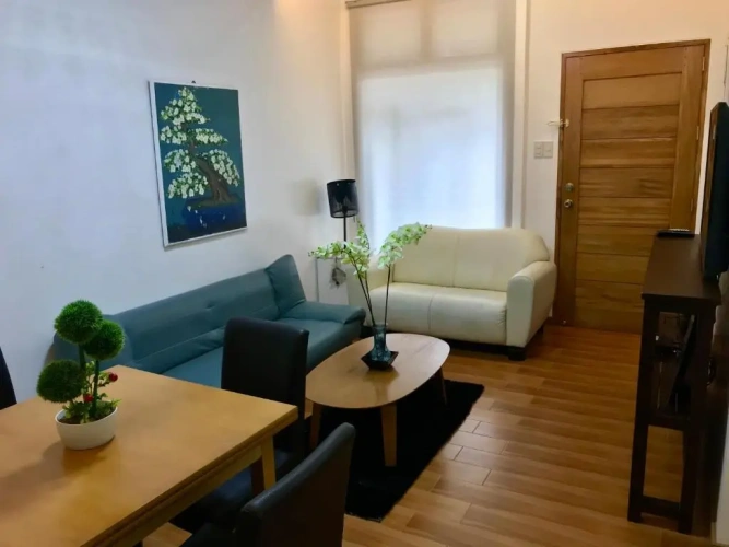 1 Bedroom Apartment