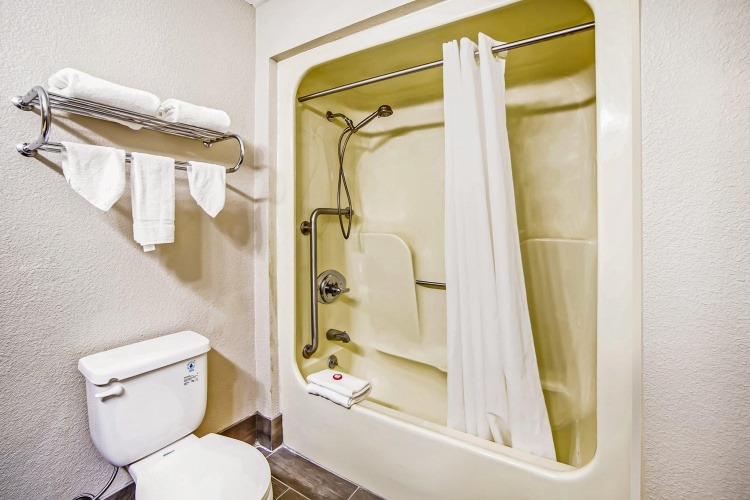 1 Bedroom Suite