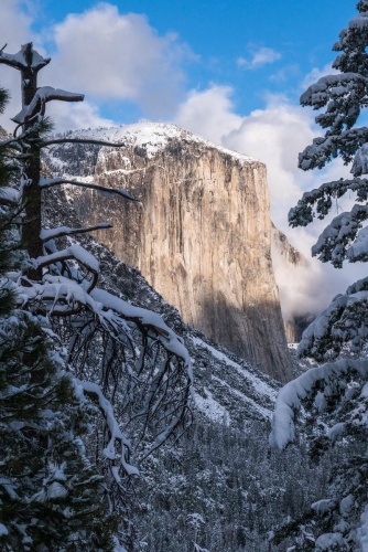 Hampton Inn Oakhurst-Yosemite photo 17