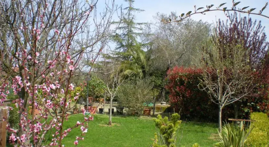 Bed & Breakfast "Le Millefoglie"