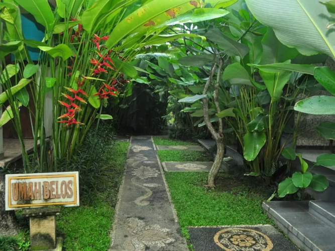 Umah Belos