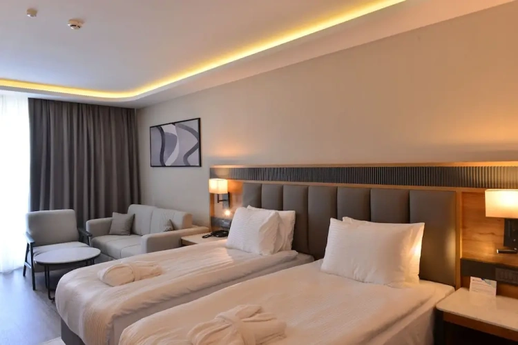 Deluxe Twin room with land view