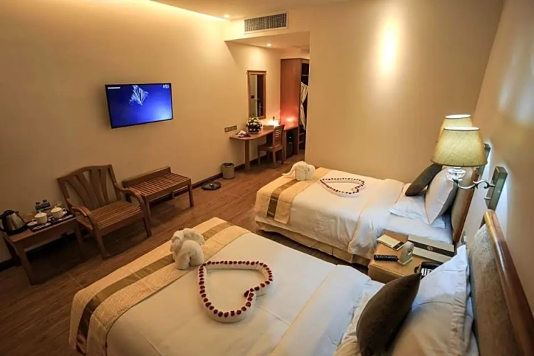 Deluxe Twin room