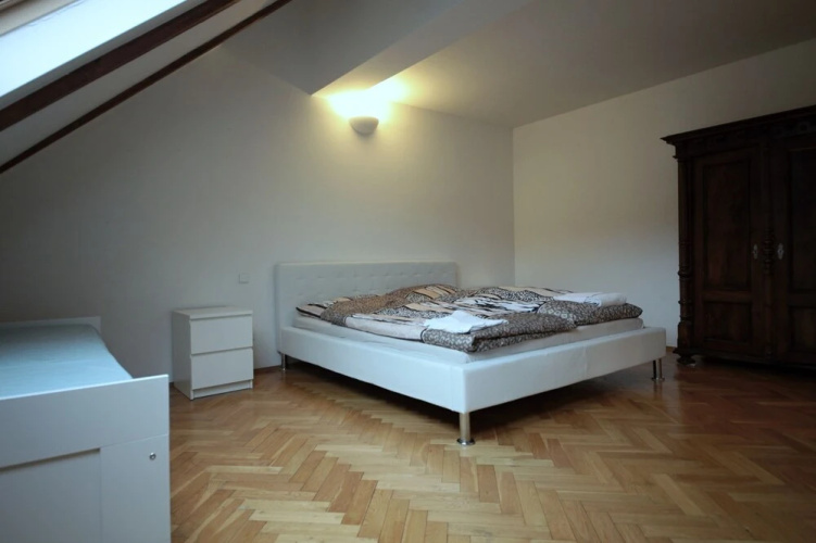 Generous Attic Apartment