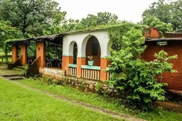 Polo Forest Cottage