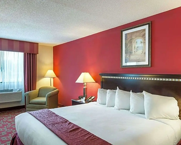 1 Bedroom Suite
