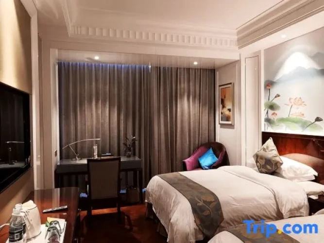 Deluxe Twin Family room