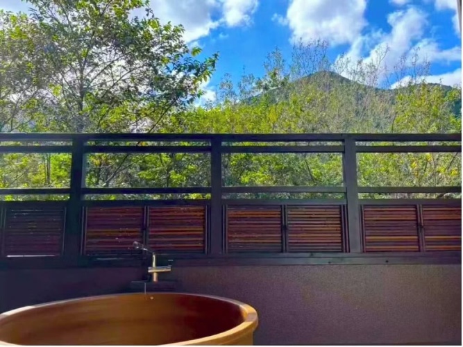 1 Bedroom Luxury Suite with mountain view