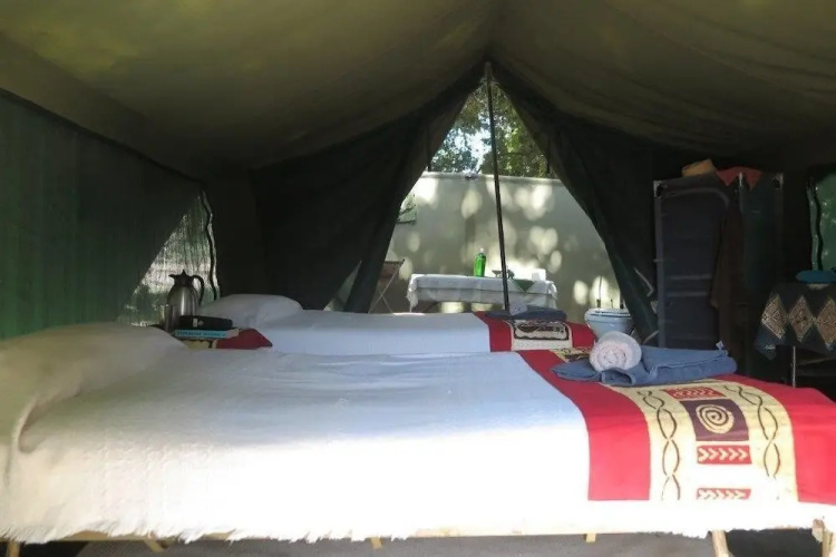 Mwinilunga Safaris