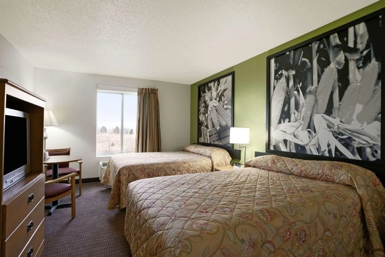Standard Quadruple room