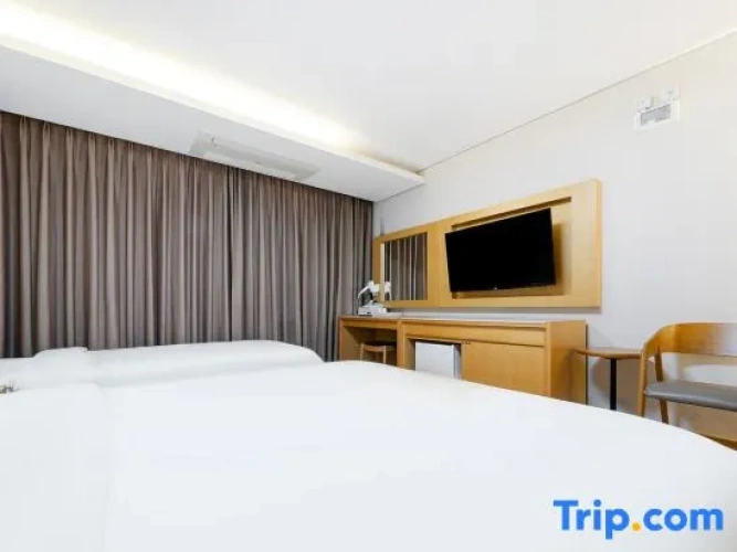 Standard Twin room with city view
