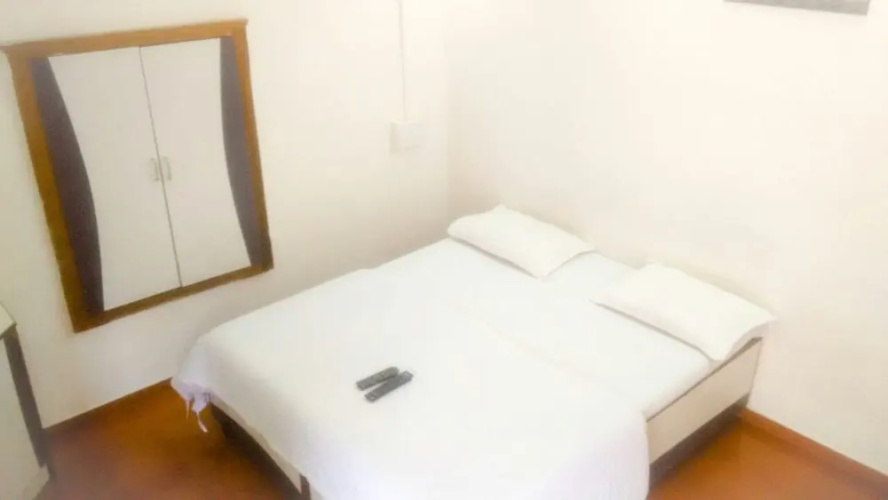 Hotel Mountain View Mount Abu