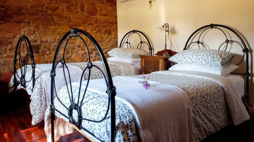 Byronsvale Vineyard and Accommodation