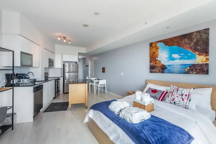 Panoramic Lakeview in a Luxury Downtown Oasis
