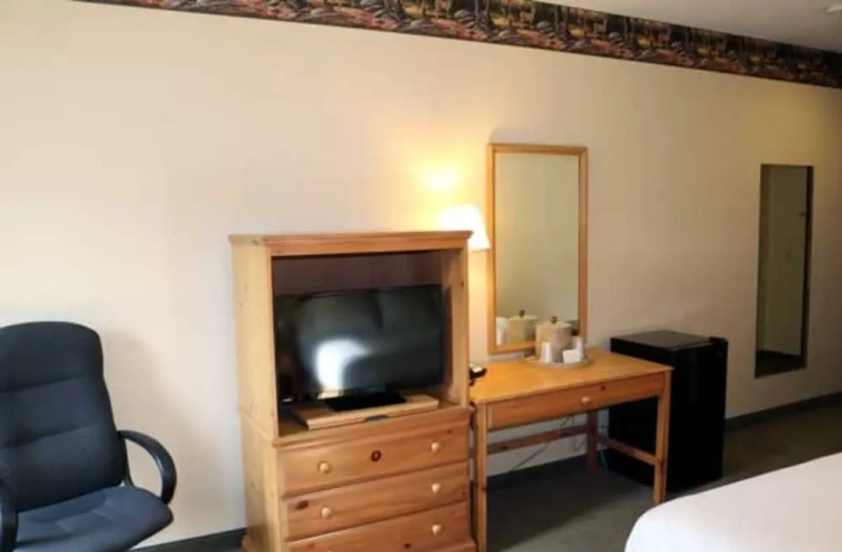1 Bedroom Suite