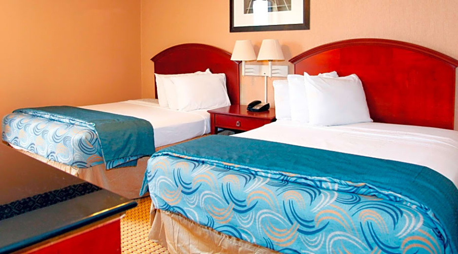 Standard Quadruple Suite