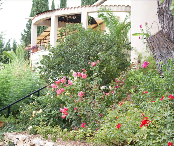 Villa Ariana - Gite