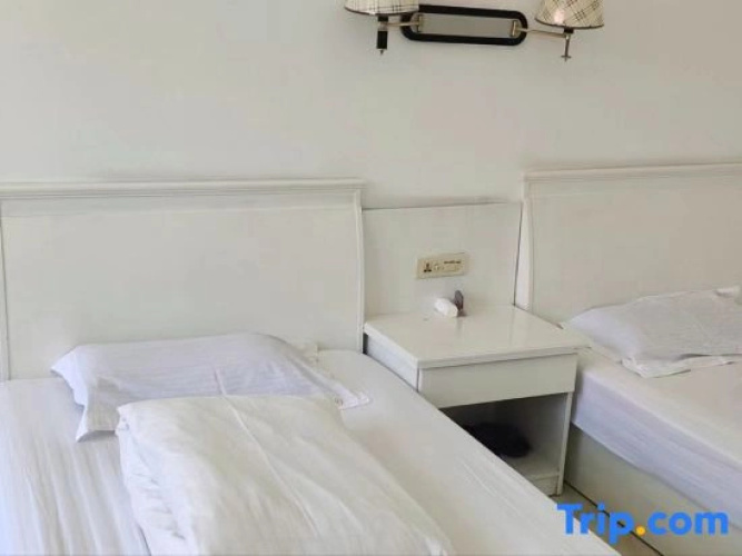 Z+ Da Fuhao Hotel (Taixing Road)