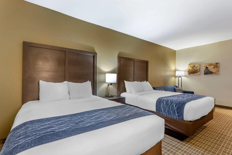 Quadruple Suite