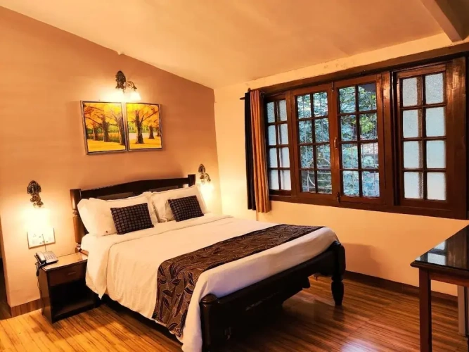 Deluxe Double room with view