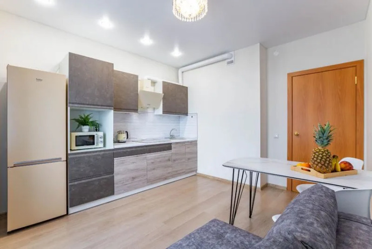 Фотография номера квартиры Апартаменты Новая Ботаника DreamHouse