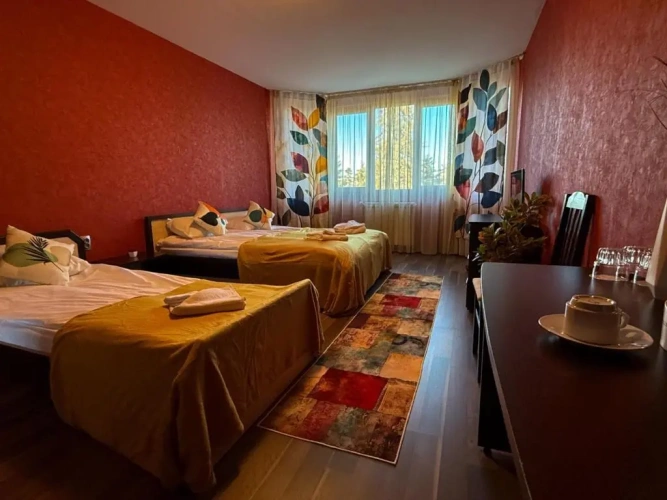 Standard Double room with mountain view