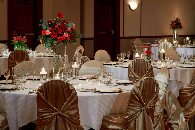 Columbus Airport Marriott photo 25