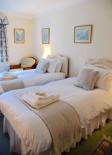 Standard Twin room with view