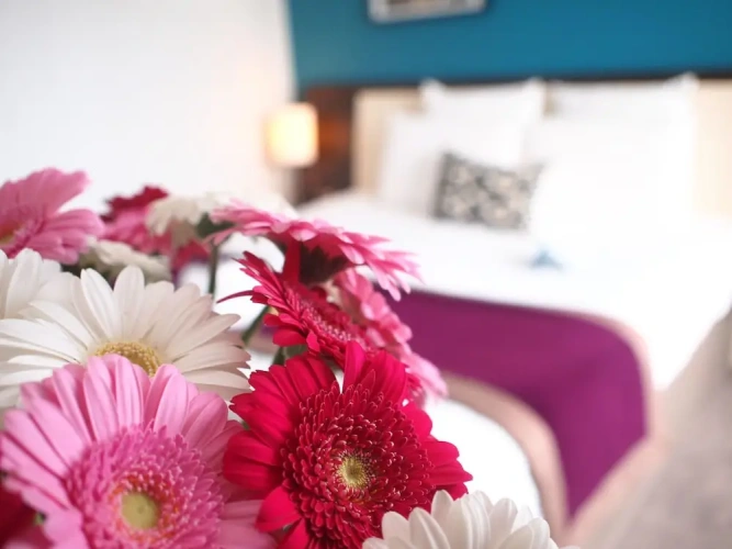 Quadruple Family Suite
