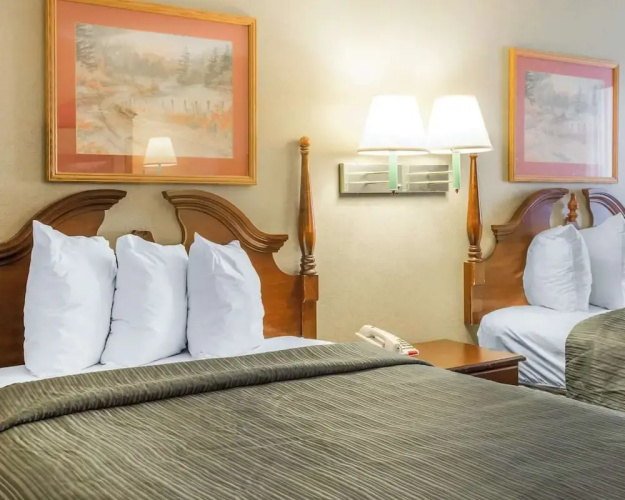 Quality Inn