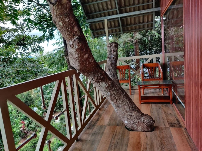 Premium Double room with balcony and with mountain view