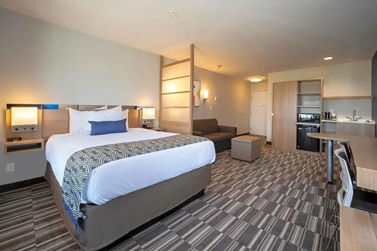 Studio Double Suite