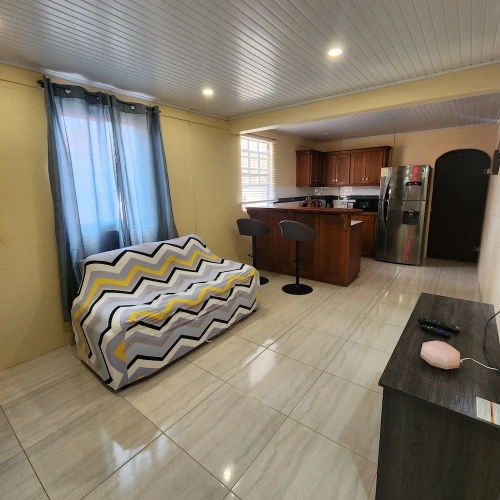 Business Villa