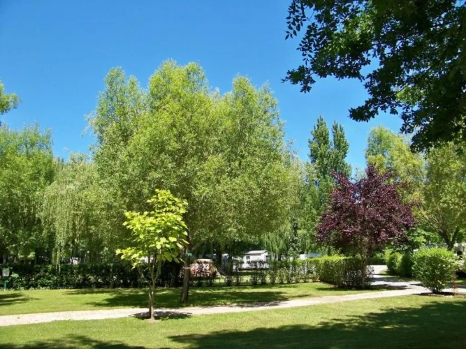Bungalow with garden view