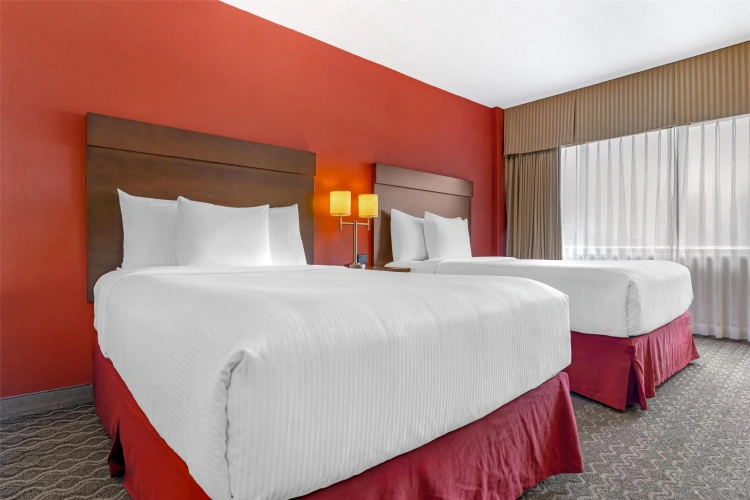 Quadruple Suite