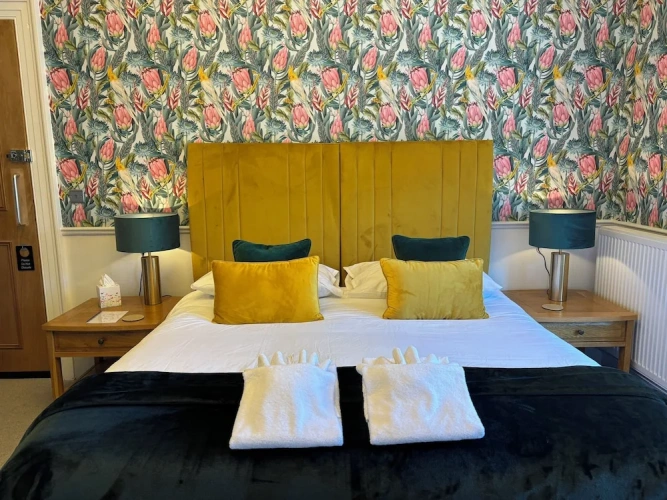 Superior Double Basement room
