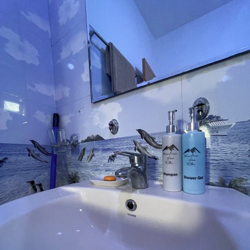 Deluxe Double room with balcony and with mountain view