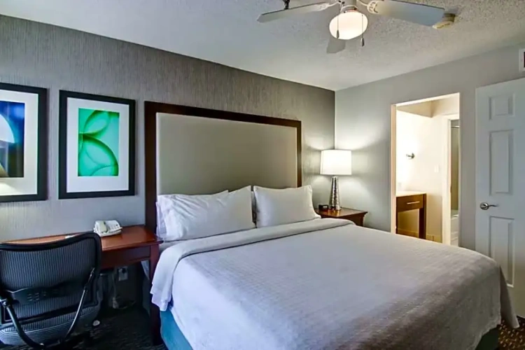 1 Bedroom Premium Double Suite